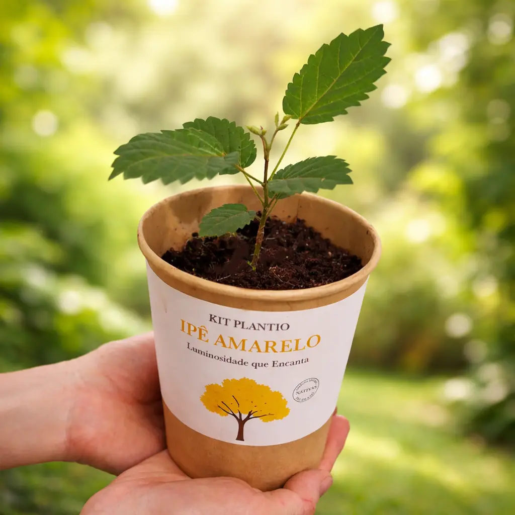 Mãos segurando um kit de Ipê-Amarelo já cultivado